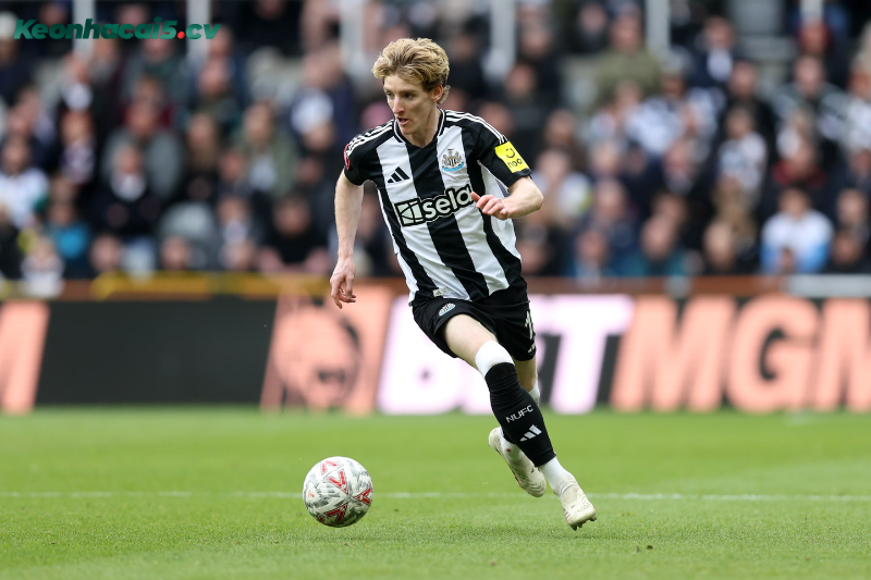 Đội hình dự kiến trước trận Burnley vs Newcastle Đội hình dự kiến trước trận Burnley vs Newcastle