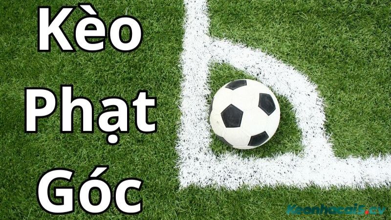Kèo phạt góc là một loại hình cá cược phổ biến trong bóng đá Kèo phạt góc là một loại hình cá cược phổ biến trong bóng đá