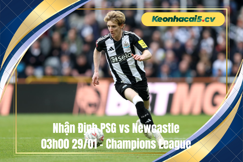 Đội hình dự kiến trước trận PSG vs Newcastle Đội hình dự kiến trước trận PSG vs Newcastle