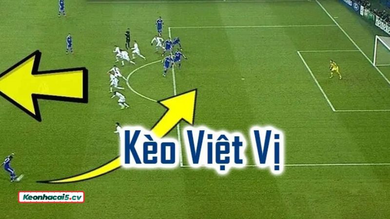 Các loại kèo Offside Betting phổ biến Các loại kèo Offside Betting phổ biến
