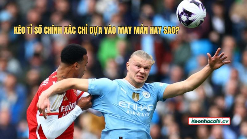 Luận giải câu hỏi