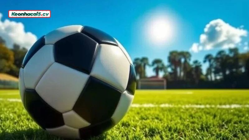 Soi kèo dựa vào nhận định của các chuyên gia Soi kèo dựa vào nhận định của các chuyên gia