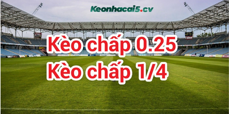 Giải mã kèo bóng đá chấp 1/4 là như thế nào Giải mã kèo bóng đá chấp 1/4 là như thế nào