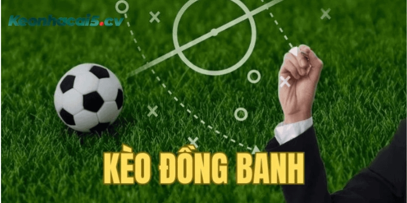 Tìm hiểu về kèo đồng banh là gì và cách tính thắng thua Tìm hiểu về kèo đồng banh là gì và cách tính thắng thua