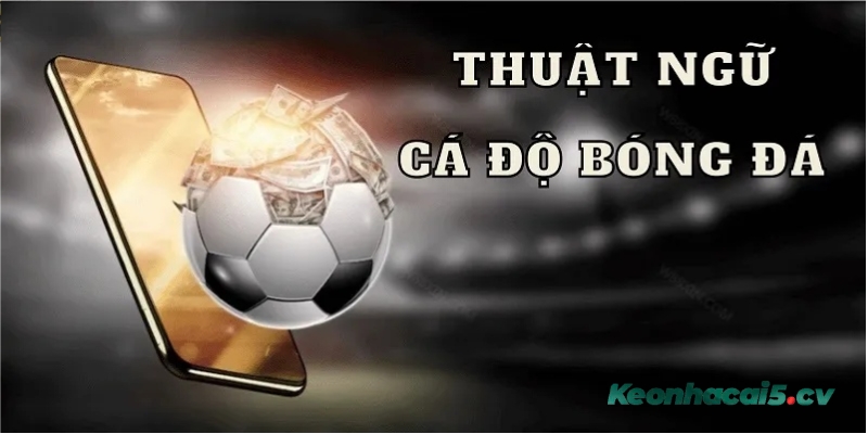 Tổng hợp các thuật ngữ cá độ bóng đá cần nắm Tổng hợp các thuật ngữ cá độ bóng đá cần nắm